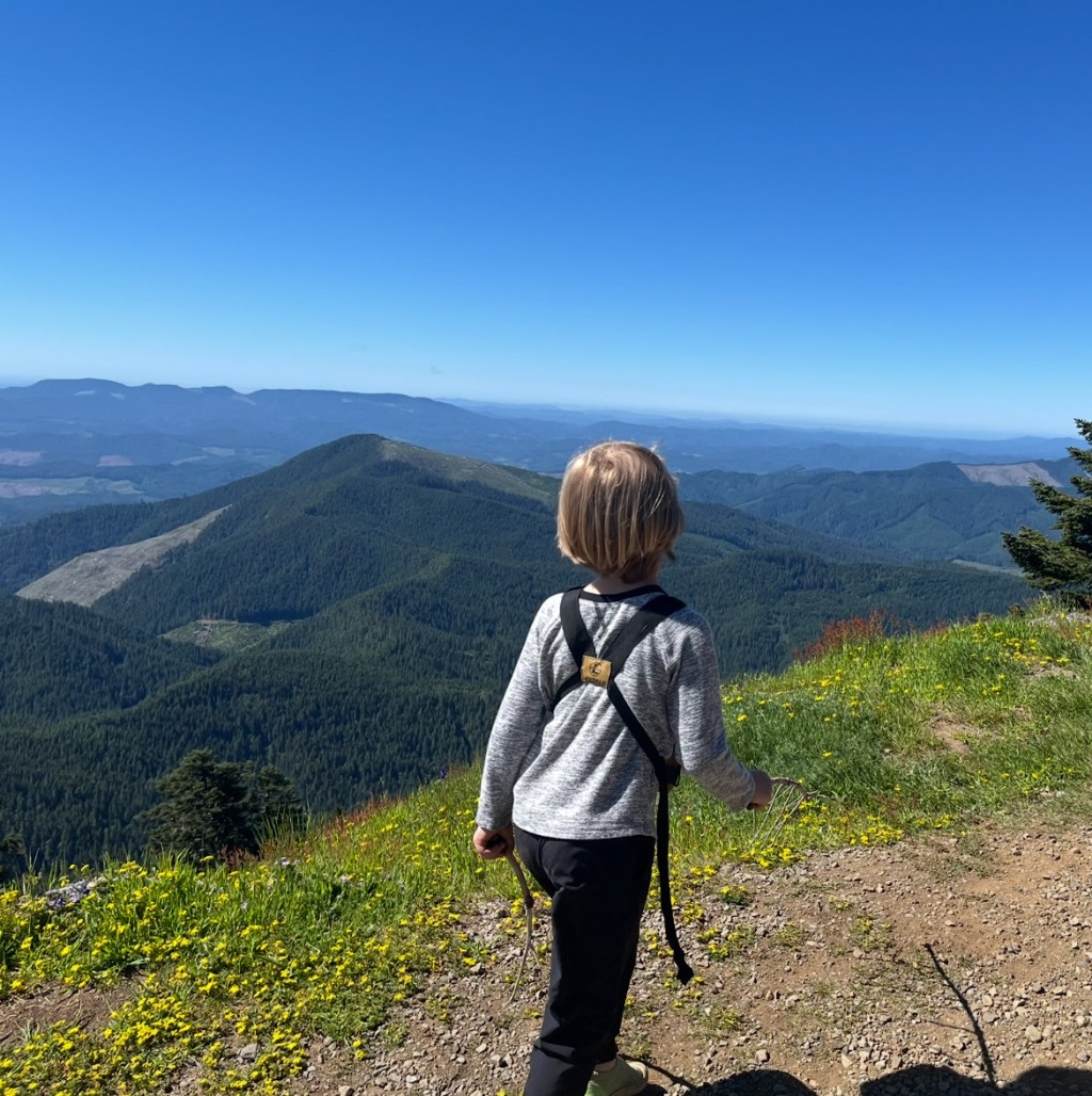 📚 Wow—It’s Summer Already? A Look Back at Our School Year Adventures