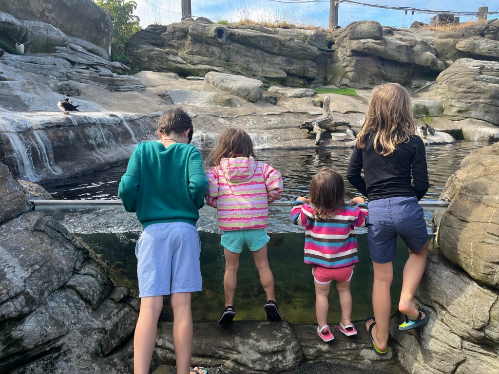 Field Trip Week: Hands-On Homeschooling in&nbsp;Action