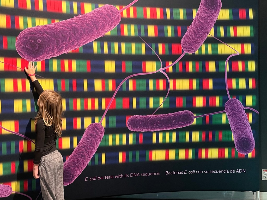 What’s the Summer Slide (and How to Prevent It Without Worksheets All Summer&nbsp;Long)