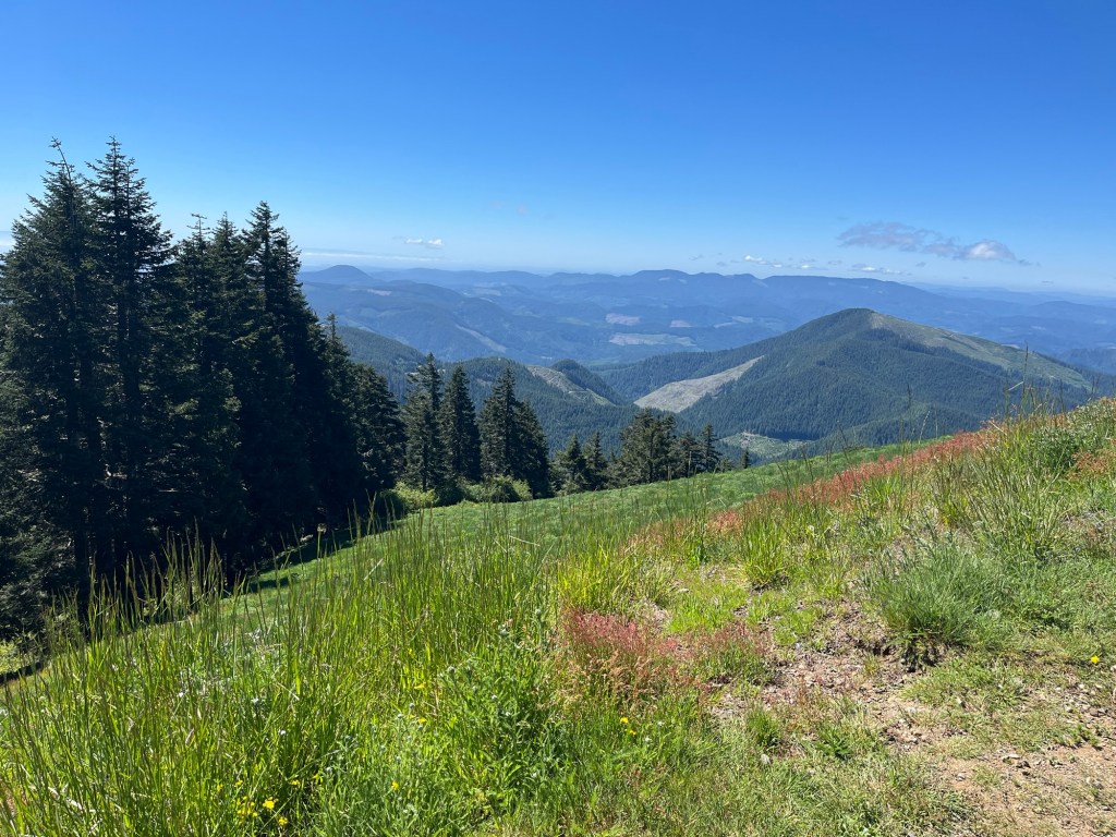 How to Prepare for a 16-Day Roadschooling&nbsp;Trip