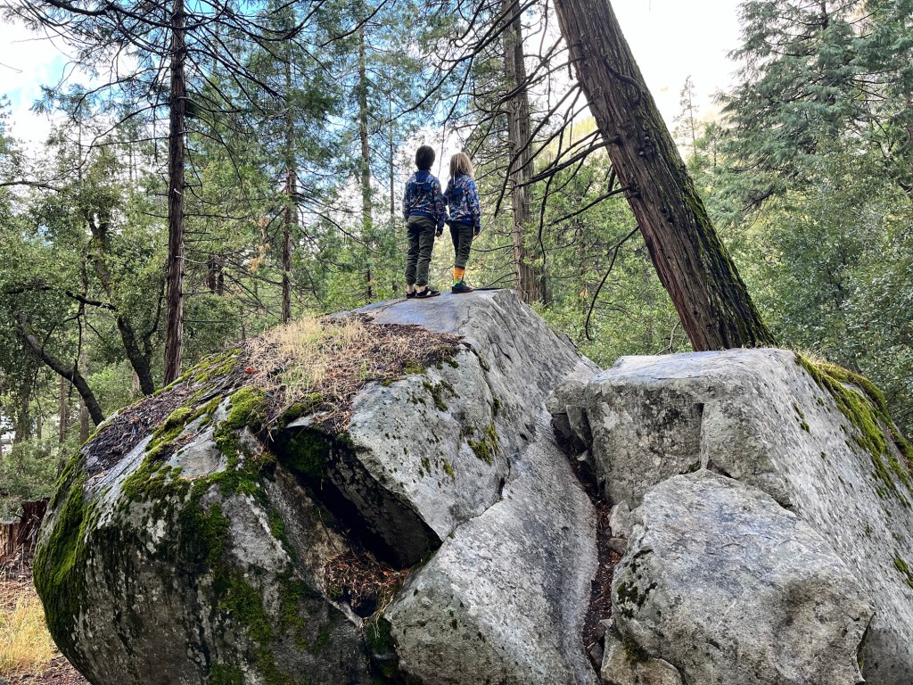 Super Frugal Ways to Give Your Kids an Awesome Homeschool Education