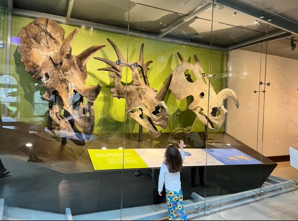 Dinosaurs, Diamonds, and Discovery: Why LA’s Natural History Museum Stole the Show