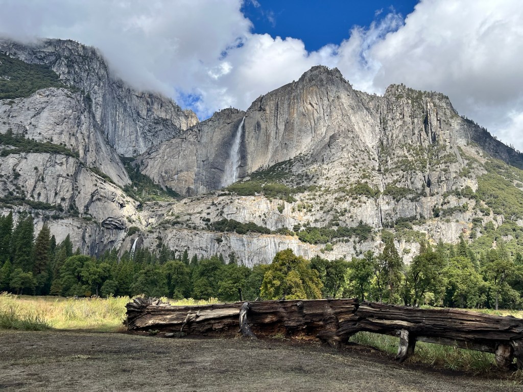🌲 Raising Little Naturalists: What Our Children Learned in Yosemite